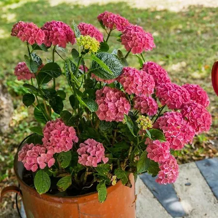 Parenthese De Charme Avec Grand Jardin 리부른